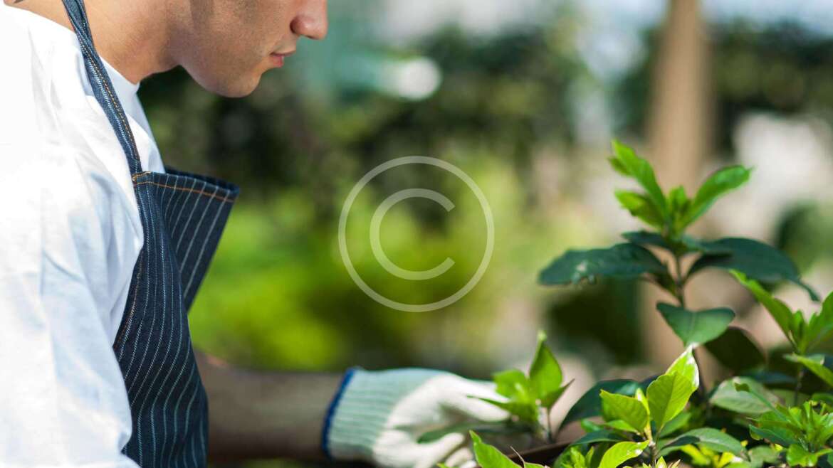 Planting for Privacy